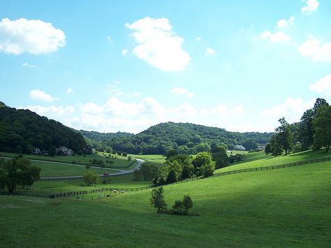 Rolling hills of Kentucky Kentucky Hills, Kentucky Landscape, Owensboro Kentucky, Eastern Kentucky, Tree Pictures, Kentucky Girl, Picture Tree, My Old Kentucky Home, Beautiful Sites