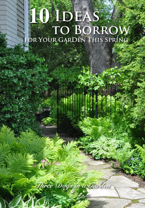 Shade Garden Pathways, Small Courtyard Landscape Ideas, Shade Garden Path, Garden Focal Point Ideas Inspiration, Small Shade Garden Ideas, New Orleans Gardens, Small Secret Garden Ideas, Garden Focal Point Ideas, Woodland Garden Ideas