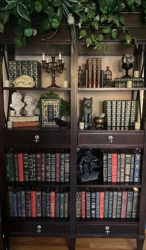 Witchy Modern House, Interior Design Academia, Dark Apartment Asthetics, Dark Forest Aesthetic Decor, Dark Green Room Aesthetic Vintage, Whimsigothic Library, Library Decor Aesthetic, Dark Traditional Decor, Dark Academia Aesthetic House Decor