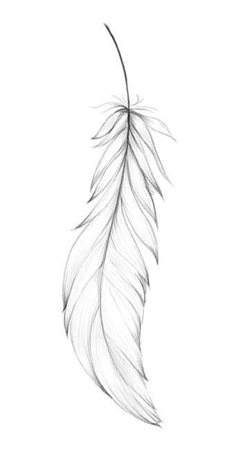 White Feather Tattoos, Tattoos Feather, Feather Template, Tattoo Feather, Tattoo White, Tattoo Diy, Feather Drawing, Tattoo Temporary, Kunst Tattoos