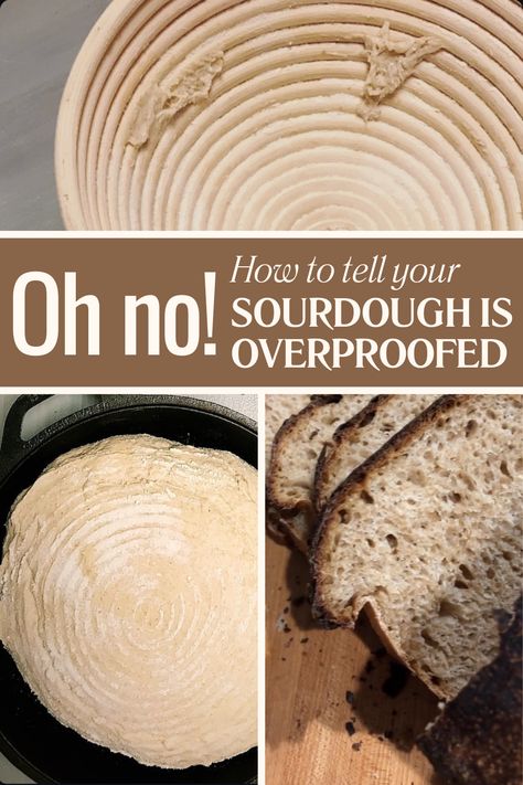 What Does Overproofed Sourdough Bread (or Dough) Look Like?  This post will explain proofing, how to identify overproofing, common mistakes, how to fix overproofed dough, and more tips to get the best results! Overproofed Vs Underproofed Sourdough, What To Do With Overproofed Sourdough, How To Shape Sourdough Bread, Proofing Sourdough Bread, Overproofed Sourdough Recipes, Sourdough Proofing Chart, Sourdough Mistakes, How To Score Sourdough Bread, Overproofed Sourdough