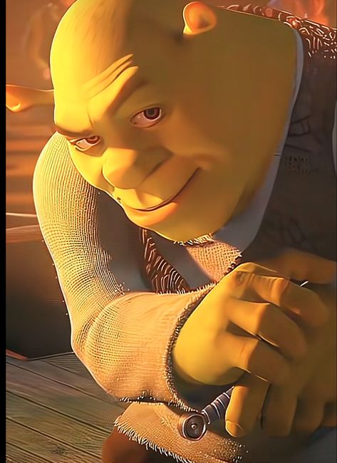 Shrek Light Skin Stare, Shrek Side Eye, Stank Face Meme, Shrek Funny Face, Shrek Smirk, Shrek Pfp, Handsome Shrek, Shrek Memes Funny, Gc Profile Picture