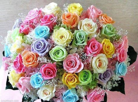 Colorful-Rose-Bouquet for VIN by ananyaroy on DeviantArt Rose Belle, Pastel Roses, Rainbow Wedding, Rainbow Roses, Colorful Bouquet, Colorful Roses, Pretty Pastel, All Flowers, Beautiful Bouquet