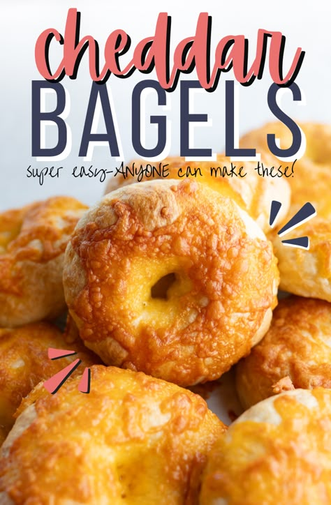 Jalapeno Cheddar Bagels Recipe Homemade, Cheddar Bagels Recipe Homemade, Cheddar Cheese Bagels, Homemade Cheese Bagels, Sourdough Cheese Bagels, Homemade Bagels Easy No Yeast, Plain Bagels Recipe Homemade, Cheese Bagels Recipe Homemade, Sourdough Discard Begal Recipe