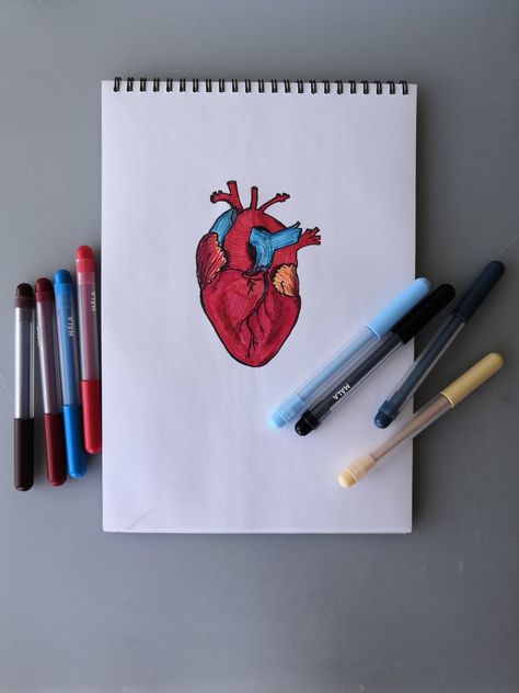 Drawing of a heart with Ikea felt tip pens. Felt Pen Drawings Ideas, Felt Tip Pen Art Drawings, Felt Pen Art, Felt Tip Pen Art, Drawing Of A Heart, Felt Tip Pens, Pen Art Drawings, Anatomical Heart, Felt Tip