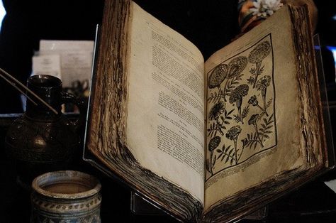 Old nature/spell book Anders Dragon Age, Indrid Cold, Dr Facilier, Yennefer Of Vengerberg, Montage Photo, Witch Aesthetic, Uncharted, Open Book, Old Books