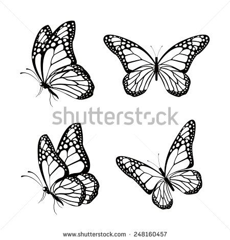 Set of Silhouette Butterflies Isolated for Spring. Editable Vector Illustration - stock vector Butterfly Ideas, Photo Papillon, Monarch Butterfly Tattoo, Butterfly Drawings, Silhouette Butterfly, Tier Tattoo, Butterfly Outline, Flying Butterfly, Tattoo Butterfly