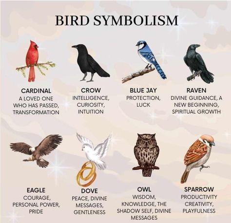 Bird Symbolism, Witchcraft Tips, Animal Meanings, Animal Spirit Guides, Witch Spirituality, Animal Guides, Celtic Astrology, Witchcraft Spell Books, Animal Symbolism