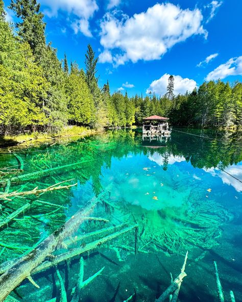 Ready to float over one of Michigan’s coolest natural wonders? Let’s talk about Kitch-iti-kipi! 🌊🩵 Kitch-iti-kipi, Michigan’s largest freshwater spring, is a true geological wonder located in Palms Book State Park. The spring measures 200 feet across and 40 feet deep, and it pumps out an impressive 10,000 gallons of water per minute, maintaining a steady 45°F throughout the year. 🥶 The spring’s name comes from the Ojibwe people and means “The Big Cold Spring.” Over the years, Kitch-iti-kip... Spring Lake Michigan, Hiawatha National Forest Michigan, Lake In The Clouds Michigan, Hoffmaster State Park Michigan, Michigan Nature, Gallon Of Water, Cold Spring, Natural Wonders, Geology