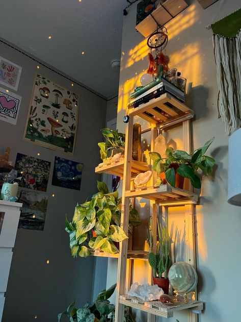 Plant Shelves In Bedroom, Plant Dorm Decor, Aesthetic Plant Room Decor, Plant Setup In Bedroom, Real Plants In Bedroom, Plant Dorm Room Aesthetic, Dorm Room Inspo Green, Maximalist Shelf Decor, Plants In Apartment Ideas