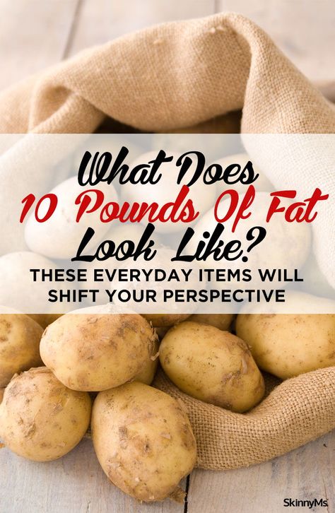 Just how significant looking is 10 pounds of fat? Let’s look at everyday things that also weight 10 pounds to give you some perspective...keep reading... 10 Pounds Of Fat Looks Like, 175 Pounds Women, 10 Pounds Of Fat, One Pound Of Fat, Baking Powder Uses, Pound Of Fat, Low Fat Diets, Lose 20 Pounds, Detox Smoothie