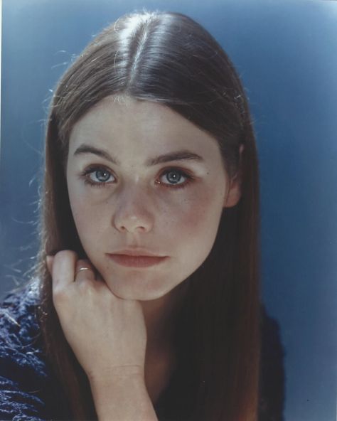 Susan Dey Now, Susan Dey, O Brian, Young Actresses, Desktop Background, Famous Americans, Very Grateful, Golden Globe Award, High Quality Wallpapers