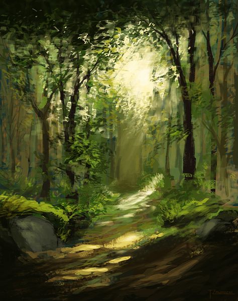 Anime Landscape, Forest Drawing, Forest Light, Landscape Quilt, Dappled Light, Forest Trail, Mystical Forest, Forest Path, Fantasy Forest