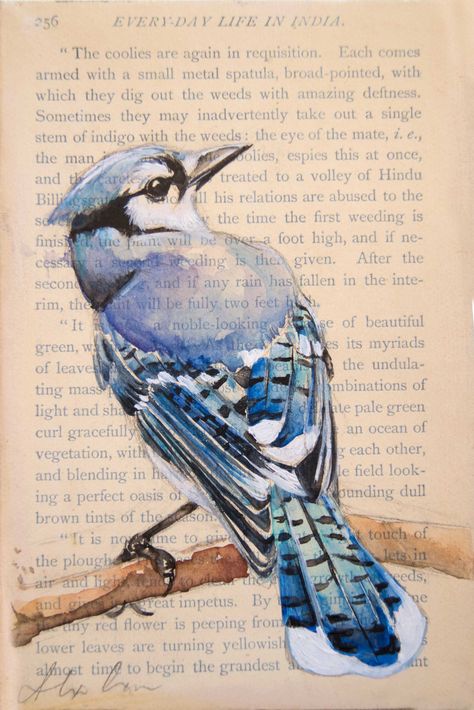 Blue Jay Drawing Easy, Watercolor On Book Pages, Bluejay Watercolor, Watercolor Bluejay, Blue Bird Drawing, Blue Jay Painting, Blue Bird Painting, Blue Jay Tattoo, Art Festival Booth