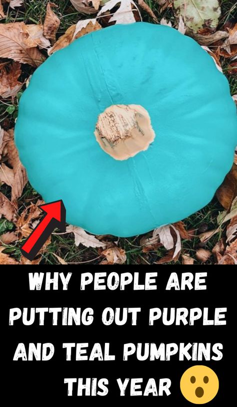 Why #People Are Putting Out #Purple And Teal #Pumpkins This Year Teal Pumpkin Painting Ideas, Teal Pumpkin Decorating Ideas, Teal Pumpkin Ideas, Teal Pumpkin Decor, Teal Pumpkin Project, Diy Turkey, Teal Pumpkin, Halloween Countdown, Blue Pumpkins