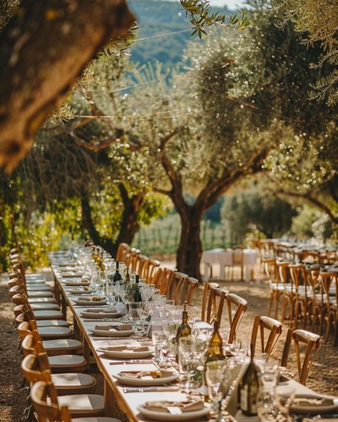 #magicalwedding #mysticalwedding #enchantingwedding #relaxedwedding #unpretentiouswedding #simplicityweddings #intimateweddings https://www.horraon.com/olive-grove-weddings/ Olive Trees Wedding Decor, Olive Tree Wedding Theme, Wedding In Olive Grove, Wedding Ceremony Italy, Tree Wedding Ceremony, Wedding Dinner Decor, Outdoor Indoor Wedding, Outdoor Wedding Tables, Abroad Wedding