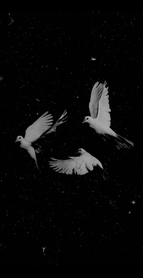 Background Birds, Dove Pictures, Gold Wallpaper Background, Alien Aesthetic, Birds In The Sky, Iphone Wallpaper Hd Nature, Spiritual Artwork, Iphone Wallpaper Quotes Love, Cool Wallpapers Art