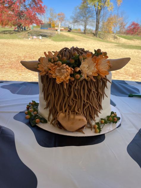 Highland Cow Cake With Sunflowers, Highland Cow Cake And Cupcakes, Fluffy Cow Birthday Cake, Highlands Cow Cake, Hi Land Cow Cake, Highlander Cow Smash Cake, Shaggy Cow Cake, Hiland Cow Birthday Party, Western Boho Graduation Party Ideas