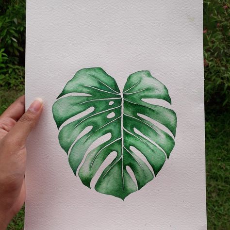 Watercolour Monstera Leaves, Watercolor Monstera Leaf Tutorial, Watercolor Monstera Leaf, Hawaiian Flower Drawing, Watercolour Plants, Palm Leaf Watercolor, Watercolour Sketches, Watercolor Botanicals, Watercolor Pencil Art