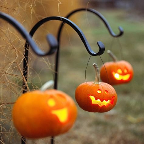 Use mini pumpkins to make spooky hanging jack-o'-lanterns. Diy Halloween Dekoration, Strašidelný Halloween, Hallowen Ideas, Diy Halloween Decor, Jack O'lantern, Halloween Tattoo, Halloween Yard Decorations, Halloween Yard, Theme Halloween