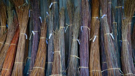 Dried willow branches provide the perfect medium for weaving willow baskets, furniture, and wreaths. Simply, soak dried willow in water to make the willow pliable again and ready for weaving. Our willow branches, sticks, or rods are dried for one year after being harvested. This ensures they will retain their thickness, integrity, and tension for best use in weaving willow baskets, sculptures, and fencing. Growing straight willow sticks requires yearly coppicing. Wreath Willow, Weaving Willow, Wattle Fence, Willow Sticks, Basket Willow, Living Willow, Willow Basket, Basket Weaving Patterns, Willow Weaving