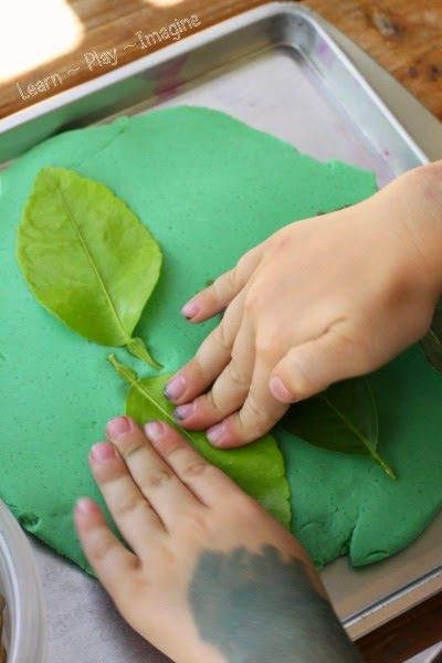 Activities With Leaves, Leaf Lesson Plans, Leaf Pressing, Fall Leaves Activities, Leaf Lessons, Green Activities, Fall Activities For Toddlers, Fall Preschool Activities, Fall Lessons