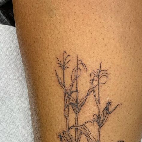 Sam lott on Instagram: "Some Corn stalks from yesterday for all those proud Midwesterners out there. #corntattoo #midwesttattoo #finelinetattoo #finelineartist #freedominktattoos #midwestpride #tattoo" Cornstalk Tattoo, Corn Tattoo Ideas, Corn Stalk Tattoo, Corn Tattoo, Corn Grain, Basic Tattoos, Corn Stalks, Dainty Tattoos, Simplistic Tattoos