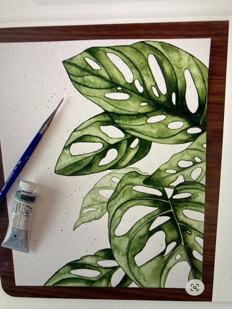 Monstera Adansonii, Green Planet, Watercolour Inspiration, Diy Watercolor Painting, Watercolor Plants, Leaf Wall, Watercolor Flower Art, 수채화 그림, Disegni Artistici