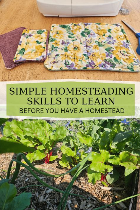 Here is a list of 11 homesteading skills you should start learning before you own a homestead. You can learn these skills wherever you live! Homestead Skills List, Homestead On A Budget, Beginner Homesteading Skills, Home Steading For Beginners, Homesteading Skills To Learn, Homesteading In An Apartment, Homestead Hobbies, Home Steading, Homesteading Aesthetic