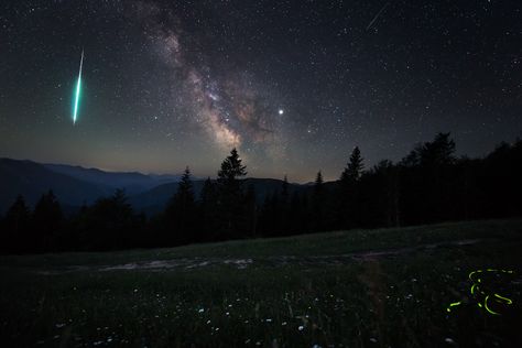 This photo of the night sky and local surroundings was captured from the Star Park Hohe Dirn, a planned dark sky nature reserve near Reichraming, Austria. Traces of light can be detected everywhere you look on this 20-second exposure; the daisy meadow (bottom), fireflies (lower right), a fireball (far left), meteors (upper right-center and lower left-center) and the glow of the Milky Way (center). The bright object just to the right of the Milky Way is Jupiter. To the lower left of Jupiter, in t Meadow At Night, Alex Aesthetic, Nighttime Sky, Night Sky Moon, Gacha Backgrounds, Grass Background, Night Background, Sky Nature, Dark Sky