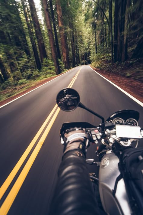 ITAP of a ride through the redwoods by caliform . . . . #photos #amazingworld #world #amazingphotography #amateurphotography #photography #incrediblephotos Bike Riding Photography, Bike Rides Photography, Motorbike Photography, Biker Photography, Image Moto, Мотоциклы Cafe Racers, Bike Aesthetic, Motorcycle Photography, Motorcycle Aesthetic