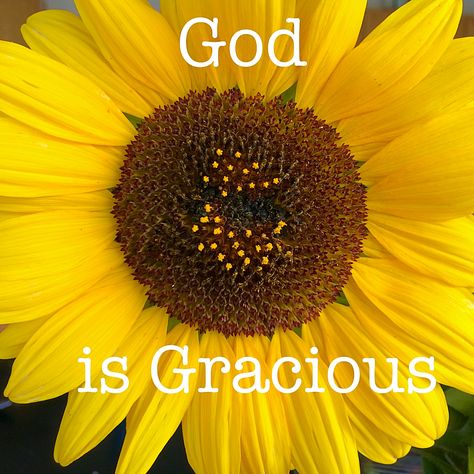 God is Gracious. pebblesandpiggytails.com Peace And Love Quotes, God Is Gracious, Sunflower Birthday, Sunflower Art, Good Morning Inspirational Quotes, Garden Recipes, Morning Inspirational Quotes, Gratitude Quotes, Oc Ideas