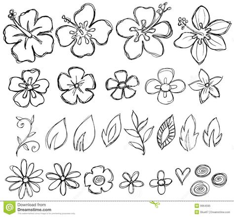 Hawaiian Flower Drawing, Summer Drawings, Beach Drawing, Anak Haiwan, Flower Drawings, Seni 2d, Illustration Blume, Vector Elements, Hawaiian Flower