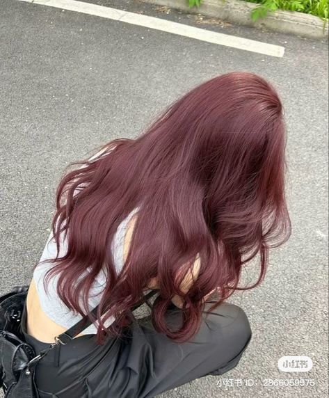 Wine Cherry Hair, Red Cherry Hair Aesthetic, Pink Lavender Brown Hair, Red Wine Color Hair, Lavender Red Hair, Light Purple Pink Hair, Aesthetic Haircolor Ideas, Light Cherry Cola Hair Color, Colors That Look Good With Brown Hair