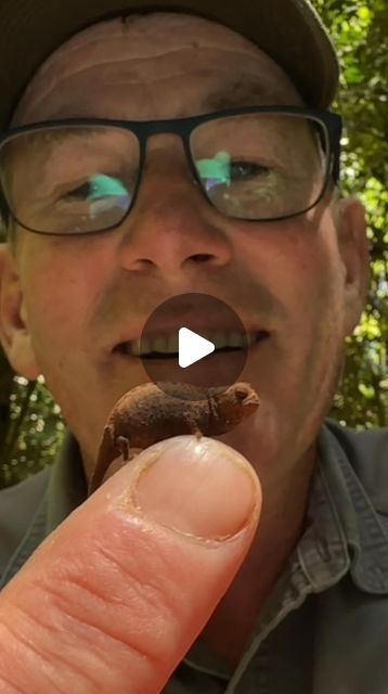 Ivan Carter on Instagram: "The 3rd smallest chameleon species in the world! 🌍🙌🏻" Chameleon Species, Reptiles And Amphibians, Small Animals, Amphibians, Our Planet, 3 Things, Reptiles, Wonders Of The World, Small Pets