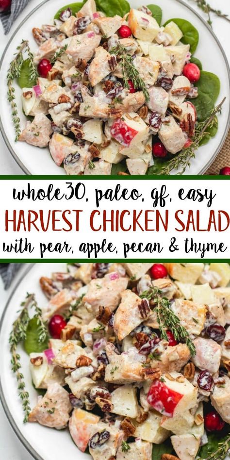 Harvest Chicken Salad, Paleo Chicken Salad, Mayo Chicken, Paleo Menu, Chicken Salad With Apples, Paleo Salads, Protein Dinner, Diner Recept, Paleo Recipes Easy