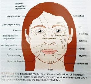 Chinese Face Map, Chinese Face Reading, Face Map, Reading Body Language, Marionette Lines, Tupac Pictures, Reading Psychology, Reading Charts, Face Mapping