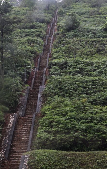 Take The Stairs, Stair Steps, Stairway To Heaven, Staircases, Indore, The Mountain, Places To See, Beautiful Nature, Places To Travel