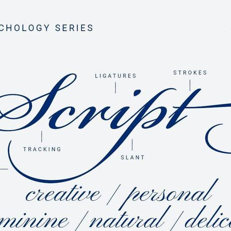 Kenny Song | Brand Designer on Instagram: "The eternal script fonts. They are in a class of their own. This category is quite large as it can include cursive, calligraphy, handwriting, brush script, and hand-lettering. Script fonts can be used to add a creative touch to a design. They can convey a sense of playfulness, whimsy, or artistry, depending on the specific font and context. They can be perceived as elegant and refined, making them a good choice for luxury brands or high-end products. Luxury Script Font, Cursive Branding, Pinyon Script, Kenny Song, Script Fonts Alphabet, Elegant Cursive Fonts, Free Cursive Fonts, Cursive Typography, Typeface Poster