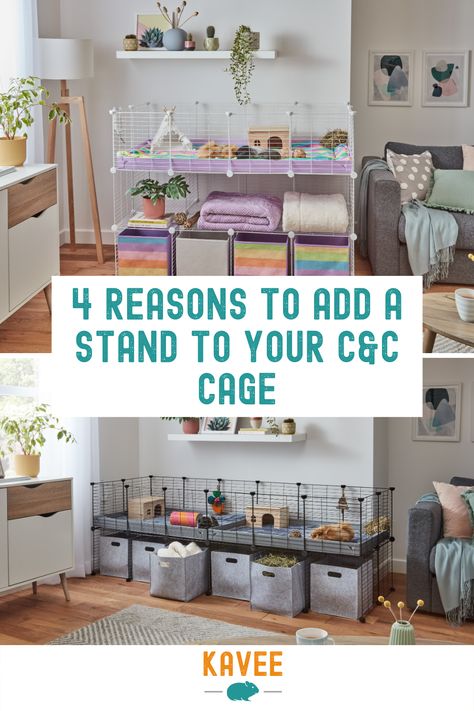 4 reasons to add a stand to your C&C cage! #Guinea #Pigs #Cages C C Cage Guinea Pigs Ideas, Kavee Cage Ideas, C C Guinea Pig Cage, Dresser Guinea Pig Cage, Guinea Pig C&c Cage Ideas, Diy Guenia Pig Cages, Gunie Pigs Cages, Guinea Pig Carrier, Diy Guinea Pig Cage