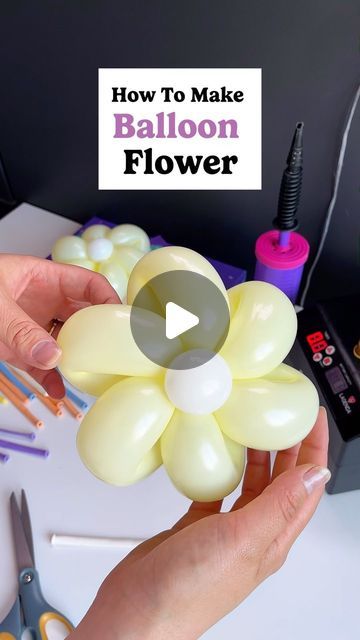 House of Party on Instagram: "Ready to craft an awesome balloon flower?    First, pinch and fold the end of your balloon over itself. Now, twist where the neck ends to create a pinch twist and pull the neck back through to secure it. Gently squeeze just above your twist to soften the latex. Next, create a second loop, making sure it’s the same size as the first, and twist to lock it in place. Continue this process until you’ve used the entire balloon.  Now, inflate part of another 260 balloon, making a small bubble, and tie both sides. Twist this in the middle of your flower to add a stunning center.  And there you have it—your very own beautiful balloon flower, ready to brighten any space!  #balloondecoration #balloontutorial #balloontips #balloontipsandtricks #ballooneducation #houseofpa 260 Balloon Flower, How To Make Flower Balloons, Small Balloon Decorations, Balloon Flowers Diy, 260 Balloon Ideas, Balloon Twisting Ideas, Baloon Garland Ideas, Balloon Projects, Balloon Centerpieces Diy