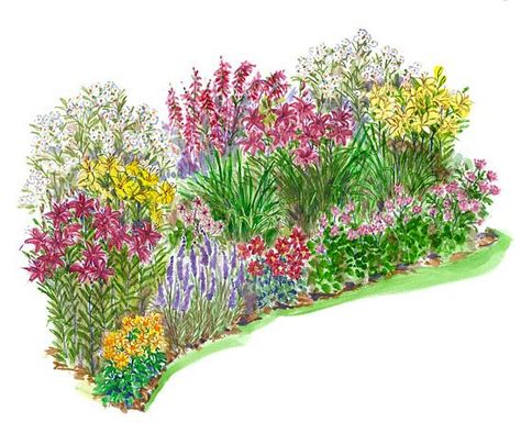 Get this free garden plan if you live in a hot, arid and sunny area. We show you the best plants to use that love full-sun and can thrive in dry conditions. You'll love the outcome with a garden bed full of colorful blooms. Small Garden Plans, Curb Appeal Garden, Perennial Garden Plans, Naturalistic Garden, Flower Garden Plans, Annual Garden, Bed Full, Garden Plan, Plants Growing