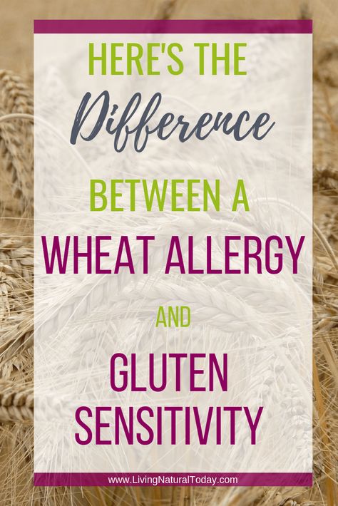 Do you know think you might have a wheat allergy? In this post, learn what the symptoms of a wheat allergy are and the difference between a wheat allergy and wheat sensitivity. #wheatsensitivity| #wheatallergysymptoms | #wheatsensitivitysymptoms | #wheatallergy Wheat Allergy Diet, Wheat Allergy Symptoms, Wheat Allergy, Fat Loss Tips, Common Food Allergies, Wheat Free Diet, Gluten Allergy, Wheat Belly, Fat Loss Diet Plan