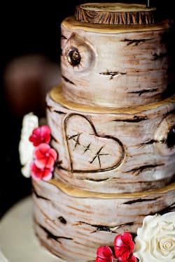 Disney Wedding Cakes Gallery | Disney's Fairy Tale Weddings Owl Wedding Cake Topper, Owl Wedding Cake, Wedding Cake Tree, Owl Wedding, Reception Cake, Disney Wedding Cake, Bird Cakes, Disney Fairy Tale Weddings, Rustic Wedding Cake