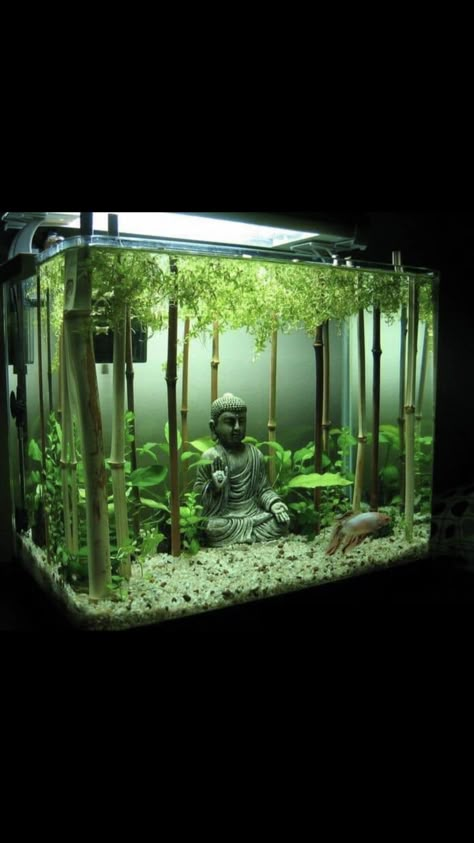 Asian Fish Tank Ideas, Asian Inspired Fish Tank, Japanese Fish Tank Ideas, Aquarium Tank Design, 6 Gallon Fish Tank Ideas, Fresh Water Aquascape, 5 Gal Fish Tank Ideas, Tall Aquarium Ideas, Aquarium Substrate Ideas