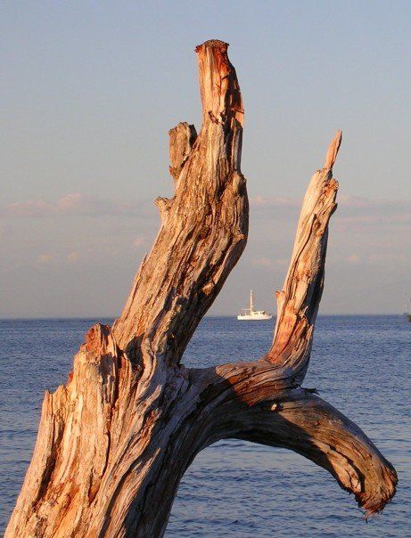 Neck Point - Nanaimo, British Columbia Neck Point Nanaimo, British Columbia, West Coast, Columbia, Travel, Art