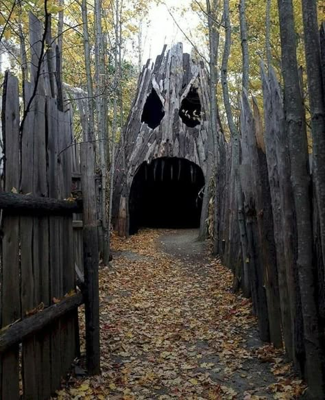 Backyard Haunted House, Haunted Overload, Haunted Trail Ideas, Haunted Garden, Halloween Decorations Outdoor Porch, Halloween Outdoor Decoration, Haunted Woods, Halloween Maze, Scary Halloween Decorations Outdoor