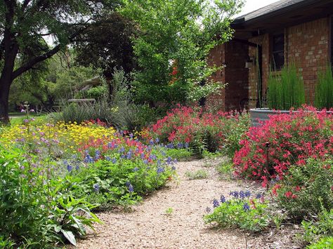 Plano Prairie Garden an inspiration Texas Prairie Landscape, Backyard Prairie Garden, Natural Prairie Landscaping, Front Yard Prairie Garden, Prairie Style Garden, Prairie Garden Ideas, Native Prairie Landscaping, Micro Prairie Front Yard, Prairie Garden Design