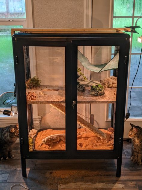 I saw someone post something similar. Here's my version using an IKEA Fabrikor cabinet. I built screens from a screen kit I picked up from Lowes for the sides instead of the glass panels. Used scrap wood and peel & stick flooring for the shelf. Ladder is just a piece of scrap wood wrapped with rope. Diy Bearded Dragon Enclosure Furniture, Ikea Bearded Dragon Enclosure, Ikea Reptile Enclosure, Homemade Reptile Enclosure, Diy Lizard Enclosure, Diy Gecko Enclosure, Beardie Enclosure Ideas, Lizard Tank Ideas, Diy Reptile Enclosure Furniture