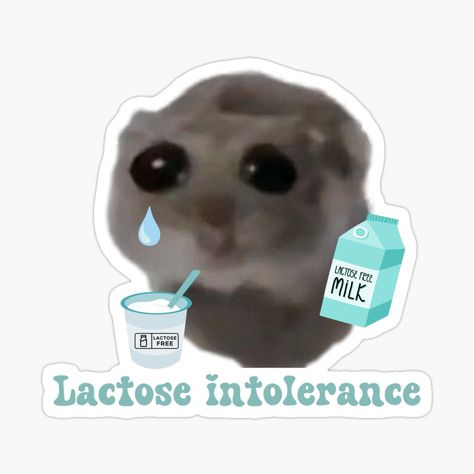 Get my art printed on awesome products. Support me at Redbubble #RBandME: https://www.redbubble.com/i/sticker/Sad-hamster-Lactose-intolerance-by-suzancreations/159288113.EJUG5?asc=u Lactose Intolerant Jokes, Positive Quotes Images, Lactose Intolerance Memes, Hamster Sticker, Prozac Meme Funny, Lactose Intolerance, Ipad Stickers, Hamster Meme, Lactose Intolerant